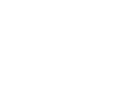 logo sebrai